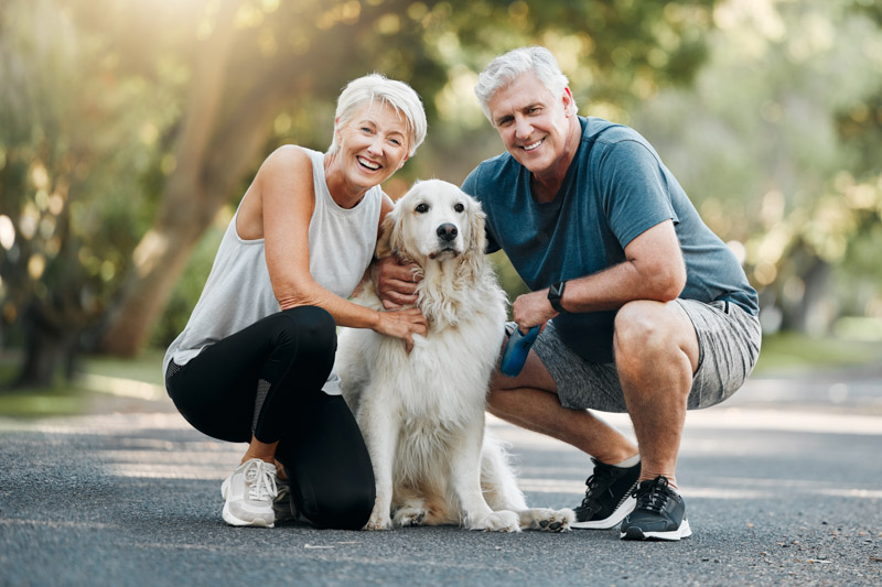 The Jetty Pet Friendly Environment The Jetty Pet Friendly Environment